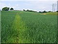 Footpath from South Wingfield to Wessington in DE55 7LX