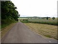 Minor road east of Branxton Hill in Branxton