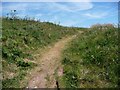 Path to the summit of Burgh Island in TQ7 4BG