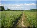 Footpath to Bradfield in RG7 6AY