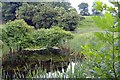 Pond beside footpath, Rushton in CW6 9AQ