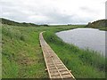 Boardwalk at Thurso River in KW14 8QH