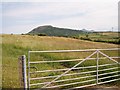 Hay meadow at Mochras Farm in Buan Community