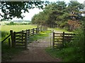 Footpath leaving Chacefield Wood in FK4 1NR
