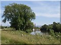 Severn above Maisemore Weir in GL2 8FL