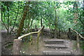 Footpath steps, Sydenham Hill Wood Nature Reserve in SE23 3PS