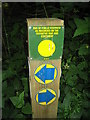 Sign at footpath Junction at SE775875 in Beadale Wood in YO18 8PT