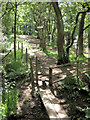 Bridge and stile in to Coppice Wood in ST8 7UB