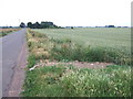 Plash Drove looking towards Plash Farm in PE13 4HR