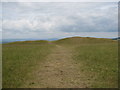Path to the long barrow on Selsley Common in GL5 5LJ