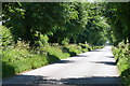 The Road to Lower Bockhampton, Dorset in DT2 8PZ