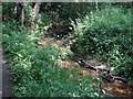 Stream at the southern end of Graffham Common in GU28 0QF