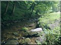 River Clywedog at Nant Mills in LL11 3TH