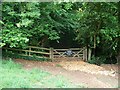 Into Norcombe Wood in GL56 9EG
