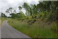 Railway embankment east of Llanfarian in Llanfarian Community