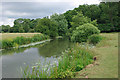 River Mole near Dendy's Wood in RH3 7AE