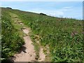 Path to Burgh Island summit in TQ7 4BG