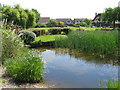 Pond, The Hermitage, Cleveleys in FY5 2TR
