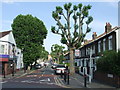 Kimberley Avenue, Nunhead in SE4 2ER