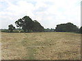 Footpath across mown field, near South Heath in HP16 9QH
