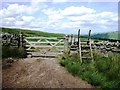 Ladder stile and Gate on the Pennine Way in CA8 7PF