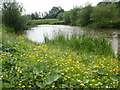 Retrospective view of a pond next to the River Tees in TS17 5LF