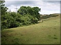 Field near Beardley Farm in TA21 0RZ