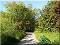 Footpath through the nature reserve in NG9 6AN