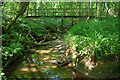Footbridge over Beam Brook in RH5 5BP
