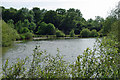 Fishing lake by Green Lane in RH5 5BH