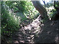 Sunken footpath near Flaxdale Holding in Parwich