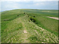 The Wansdyke on Tan Hill in SN8 4LB