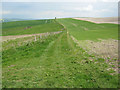 Farm track on All Cannings Down in SN8 4LB