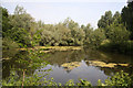 Pond near Landwade Hall in CB8 7NF