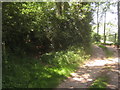 Bridleway junction near Bridle Lane Farm in TN8 5NH