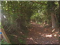 Bridleway in Gilridge Wood in TN8 5NH