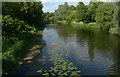 The River Soar near Abbey Park in LE1 3UD