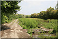 Disused watercress beds, Coombe Bissett in SP5 4LR