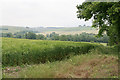 View from footpath east of Homington House, Coombe Bissett in SP5 4LR