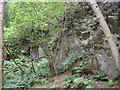 Old quarry face in Annisland Park in AB34 5AN