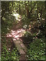 Footbridge in Tickners Wood in TN8 7HN