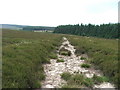 Path on Wheeldale Moor. in YO18 8RR