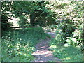 Bridleway junction with lane near Fitzlea Wood in GU28 0QN