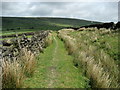 Pendle Way near Brink Ends in BB8 8SU