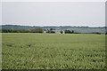 Wheat Fields near Orgarswick Farm in TN29 0HX