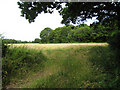 Field off Brisley Lane in TN26 2PN
