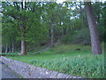 Footpath into Skeoch Wood in PA20 0BD