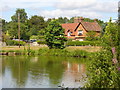 Village Pond, Hascombe in GU8 4JA
