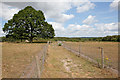 Footpath across Baddesley Common in SO52 9DR