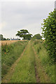 Footpath rising from Ebble valley towards Dogdean Farm, nr Homington in SP5 4NN
